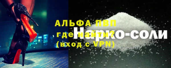 PSILOCYBIN Белокуриха