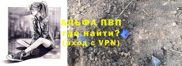 PSILOCYBIN Белокуриха