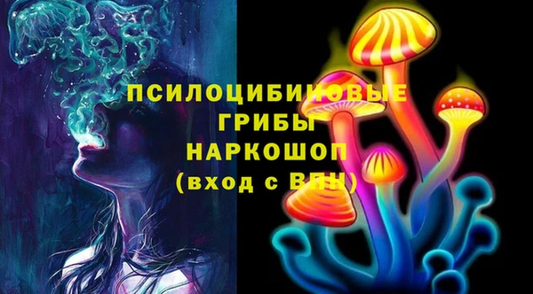 PSILOCYBIN Белокуриха