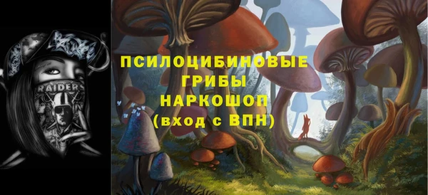 PSILOCYBIN Белокуриха